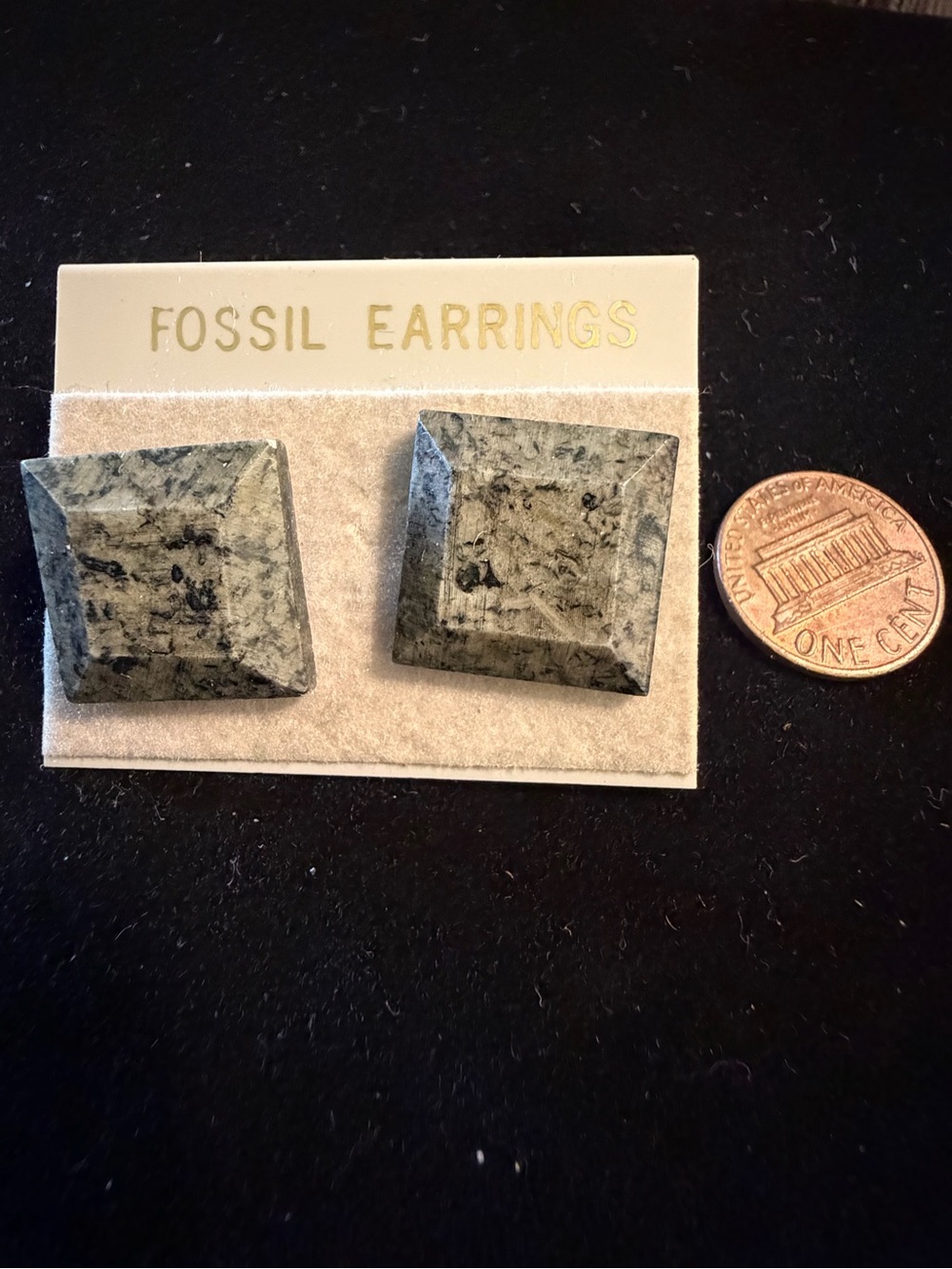 Fossil Gray Marbled Pyramid Stud Earrings